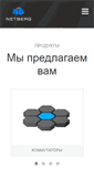 Mobile Screenshot of netberg.ru